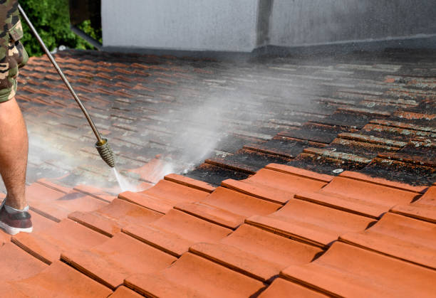 Best Pressure Washing Contractors  in Tiger Point, FL