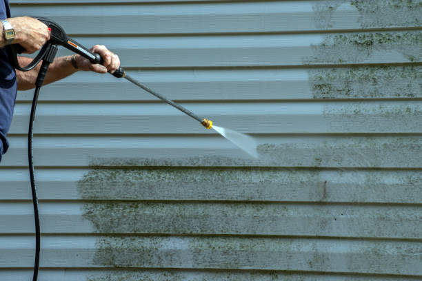 Best Sidewalk Pressure Washing  in Tiger Point, FL