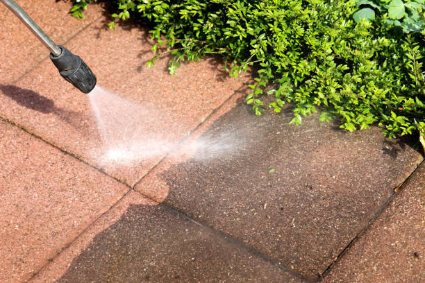 Best Roof Pressure Washing  in Tiger Point, FL